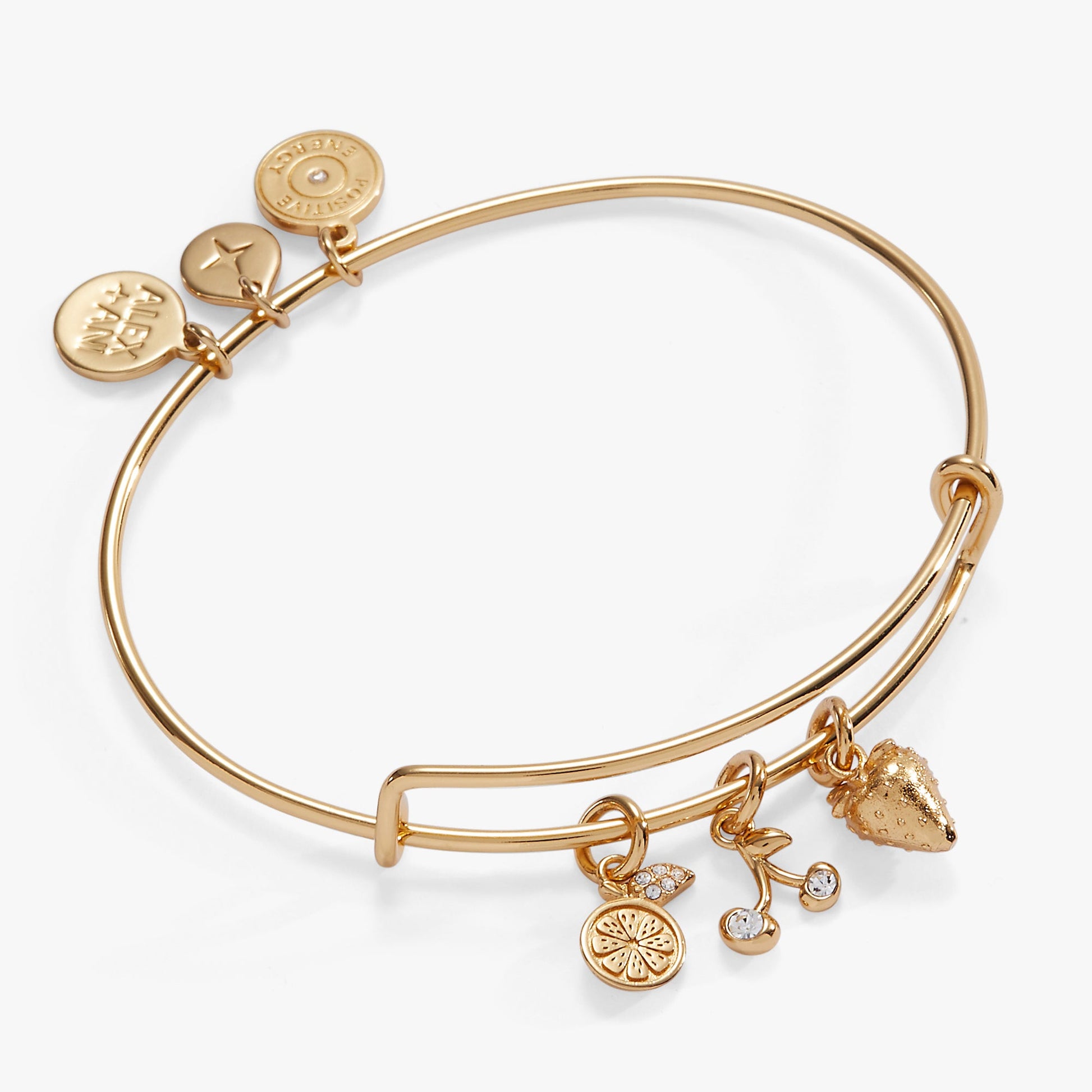 Fresh Orchard Charm Bangle Gold