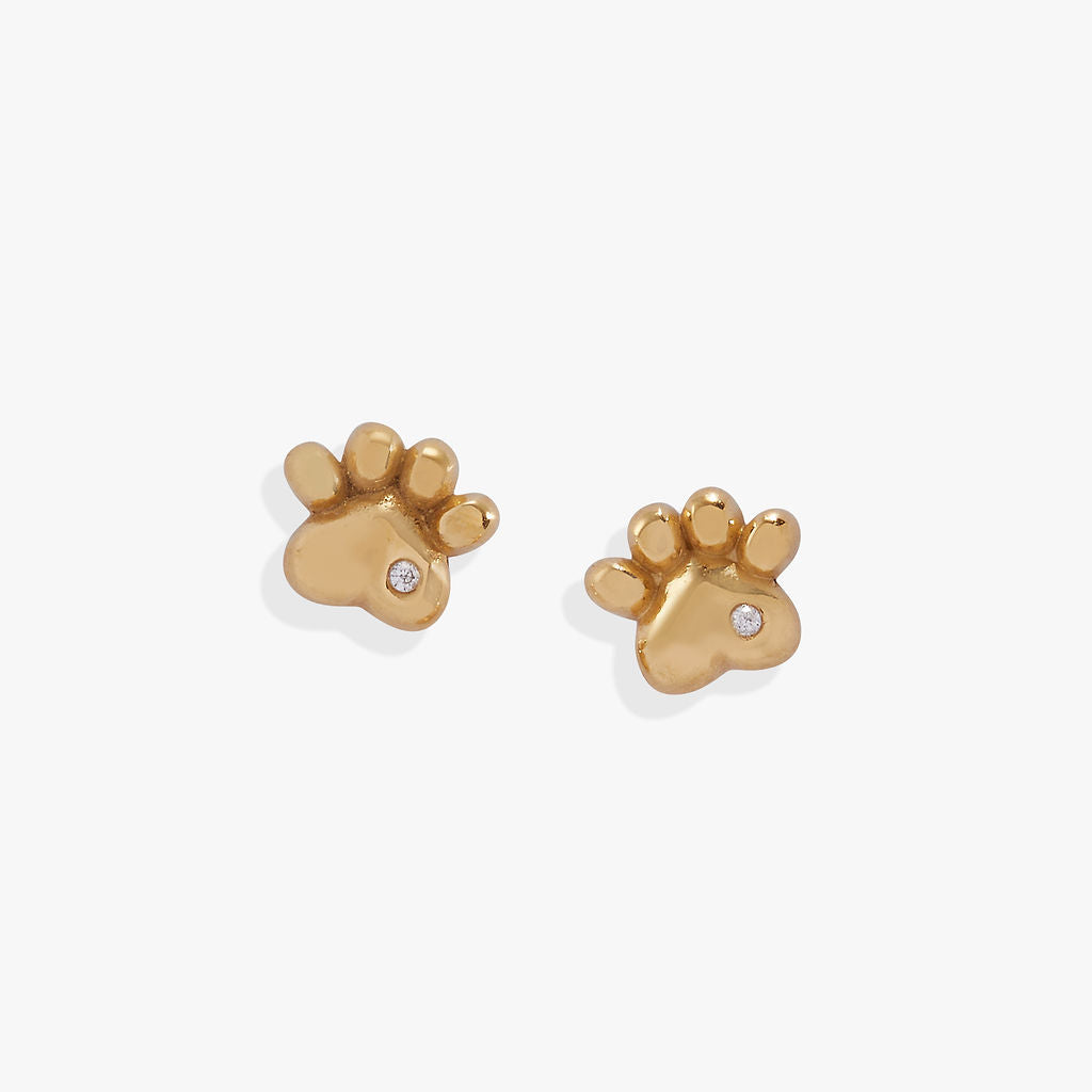 Crystal Paw Mini Stud Earrings Stainless Steel Gold