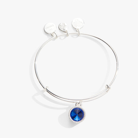 Sapphire September Birthstone Charm Bangle Silver