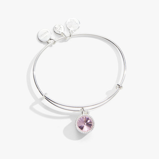 Rose October Birthstone Charm Bangle Silver