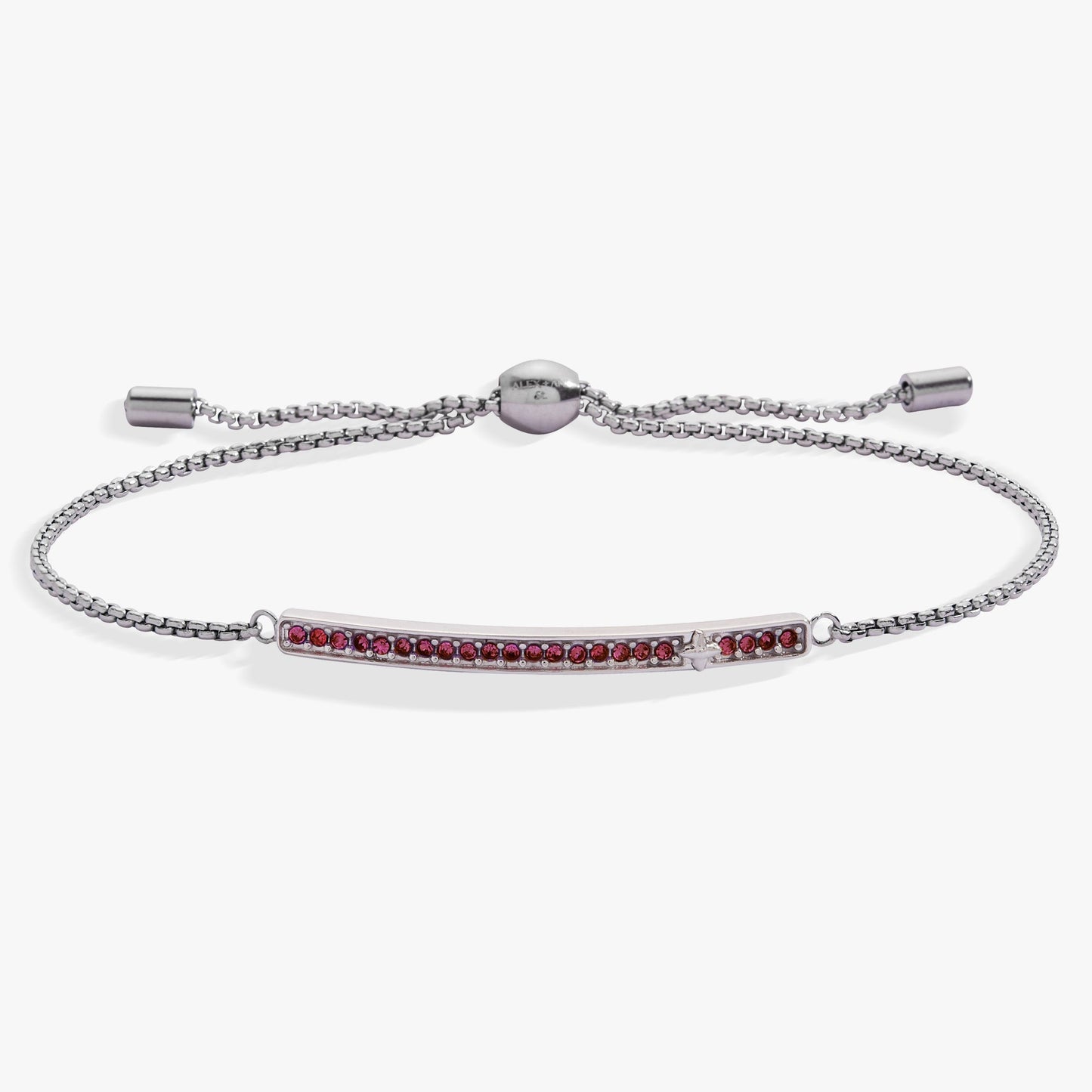 Birthstone Pave Bolo - February Stainless Steel Gold