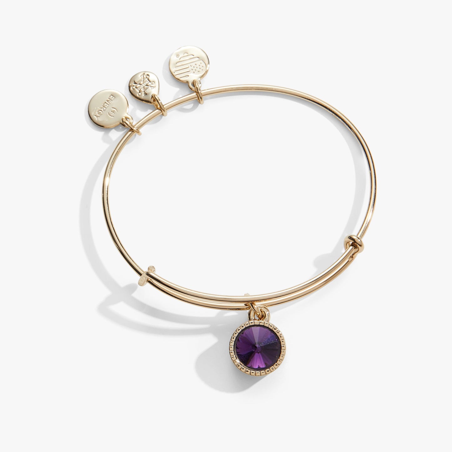 Amethyst February Birthstone Charm Bangle Gold