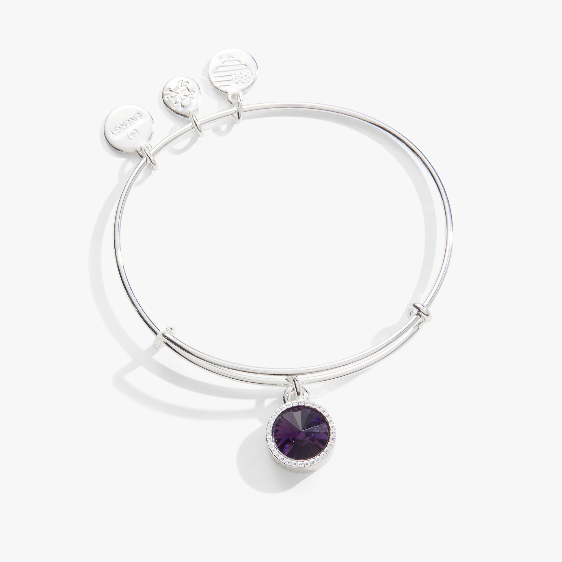 Amethyst February Birthstone Charm Bangle Gold