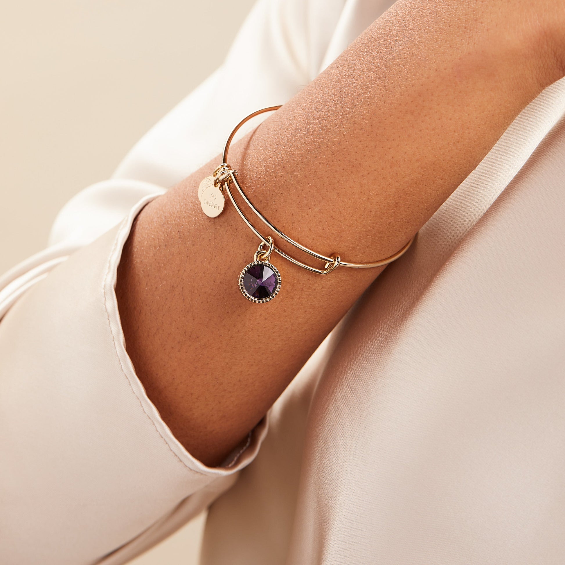 Amethyst February Birthstone Charm Bangle Gold