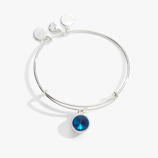 Blue Zircon December Birthstone Charm Bangle Silver