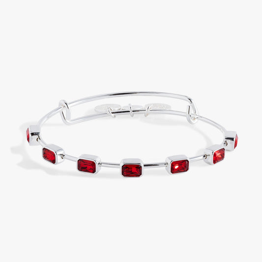 January Birthstone Emerald Cut Bangle Silver