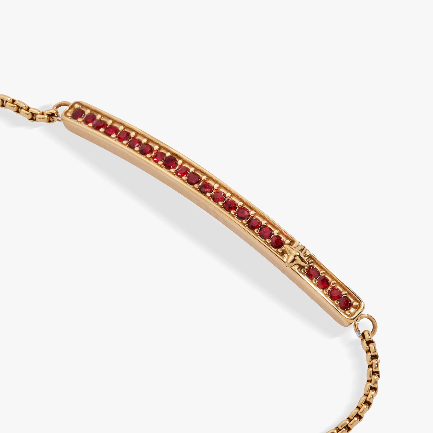 Birthstone Pave Bolo - January Stainless Steel Gold