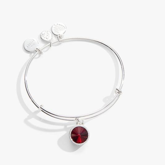 Scarlet January Birthstone Charm Bangle Silver