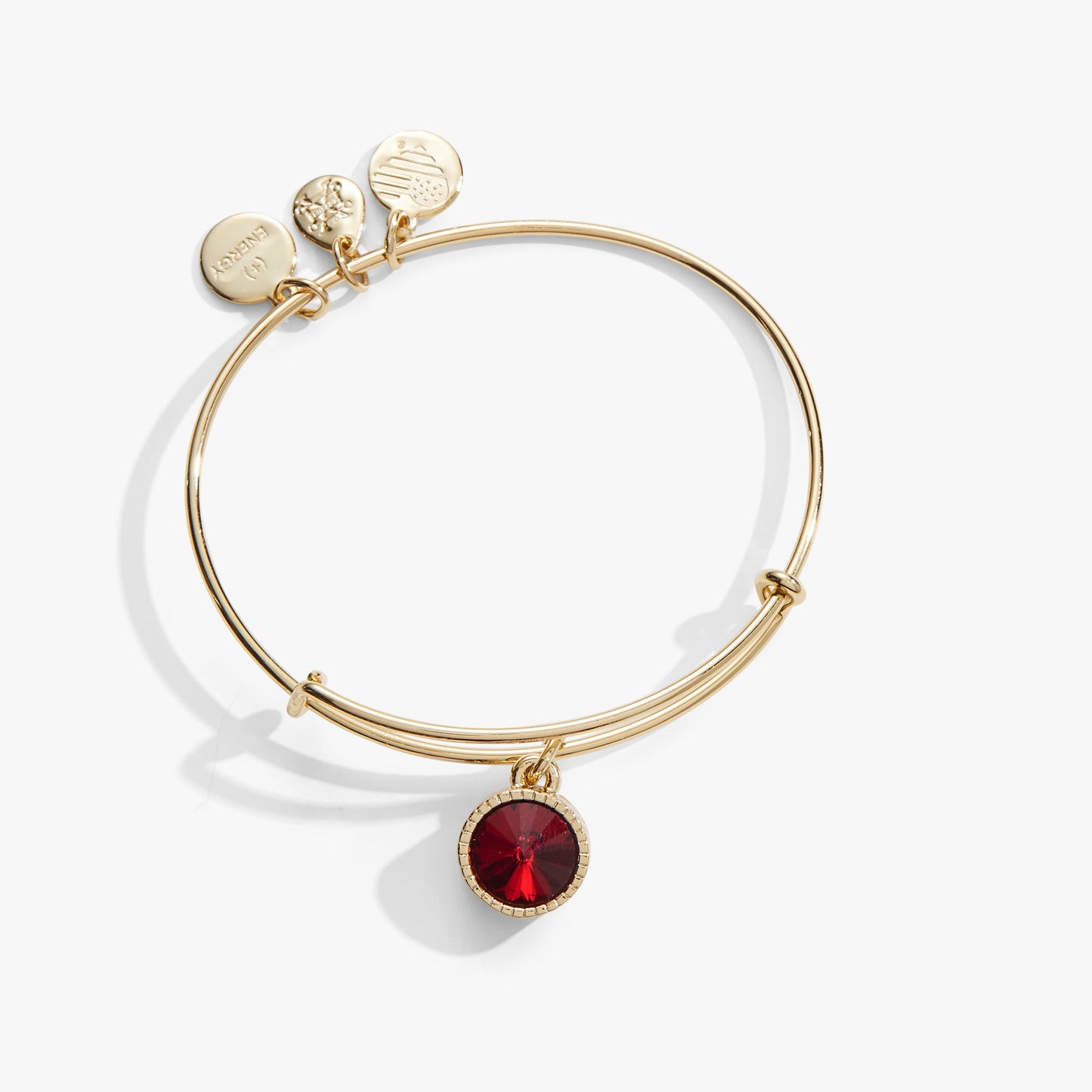 Scarlet January Birthstone Charm Bangle Silver