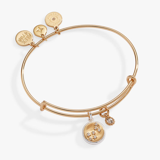 Scorpio Zodiac Charm Bangle Two Tone