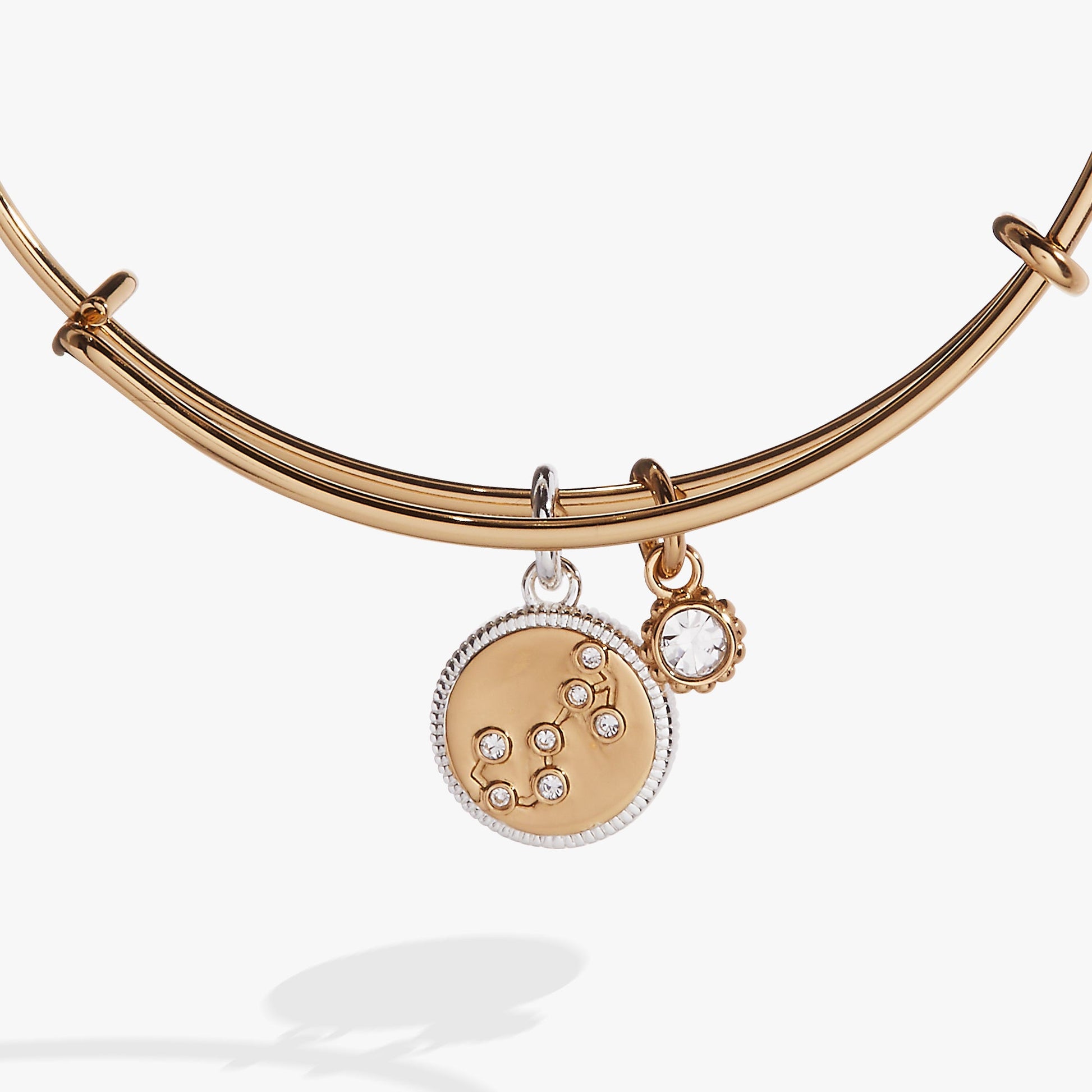 Scorpio Zodiac Charm Bangle Two Tone