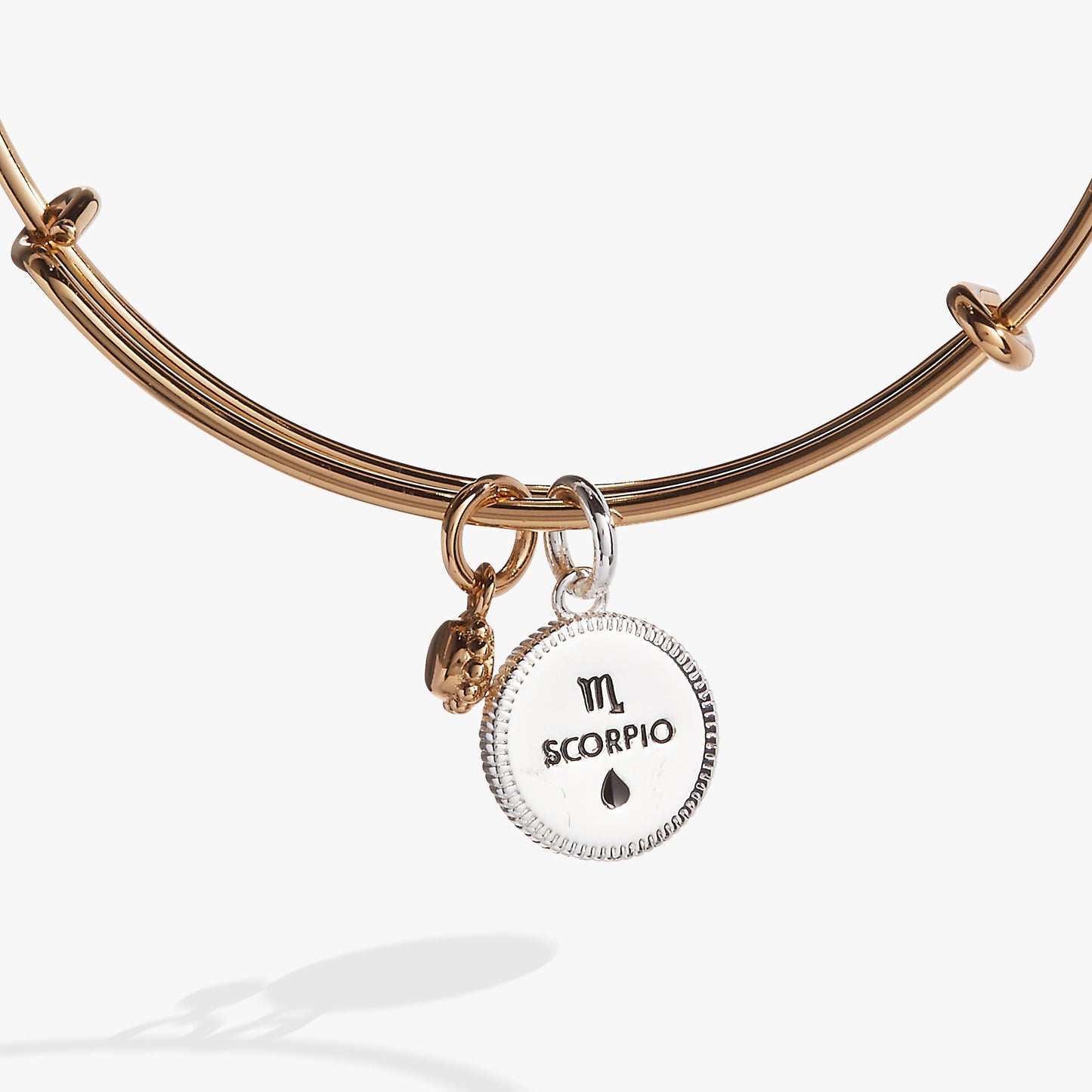 Scorpio Zodiac Charm Bangle Two Tone