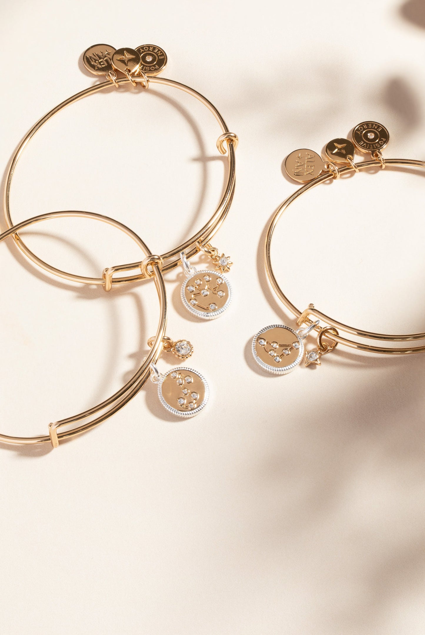 Scorpio Zodiac Charm Bangle Two Tone