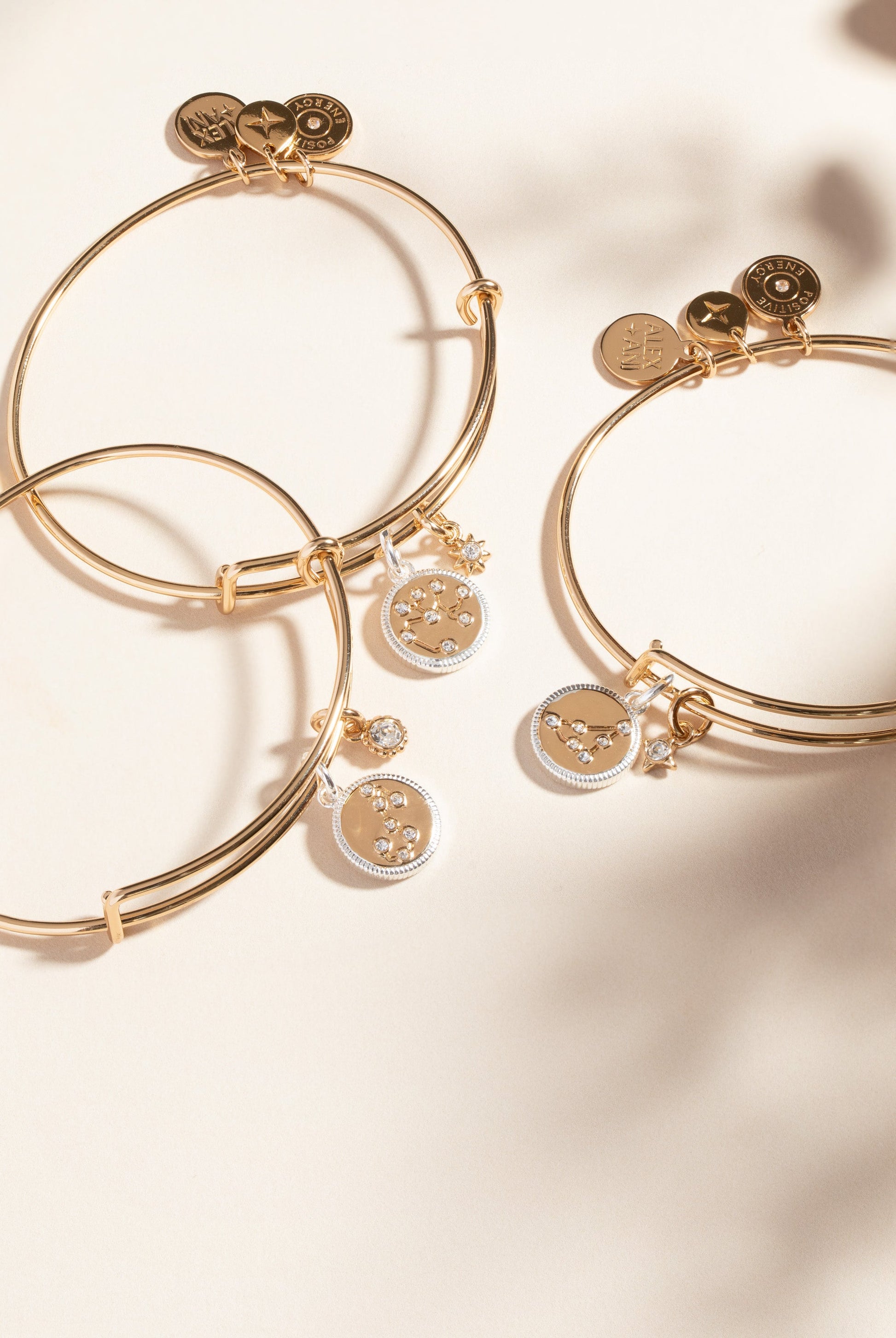 Scorpio Zodiac Charm Bangle Two Tone