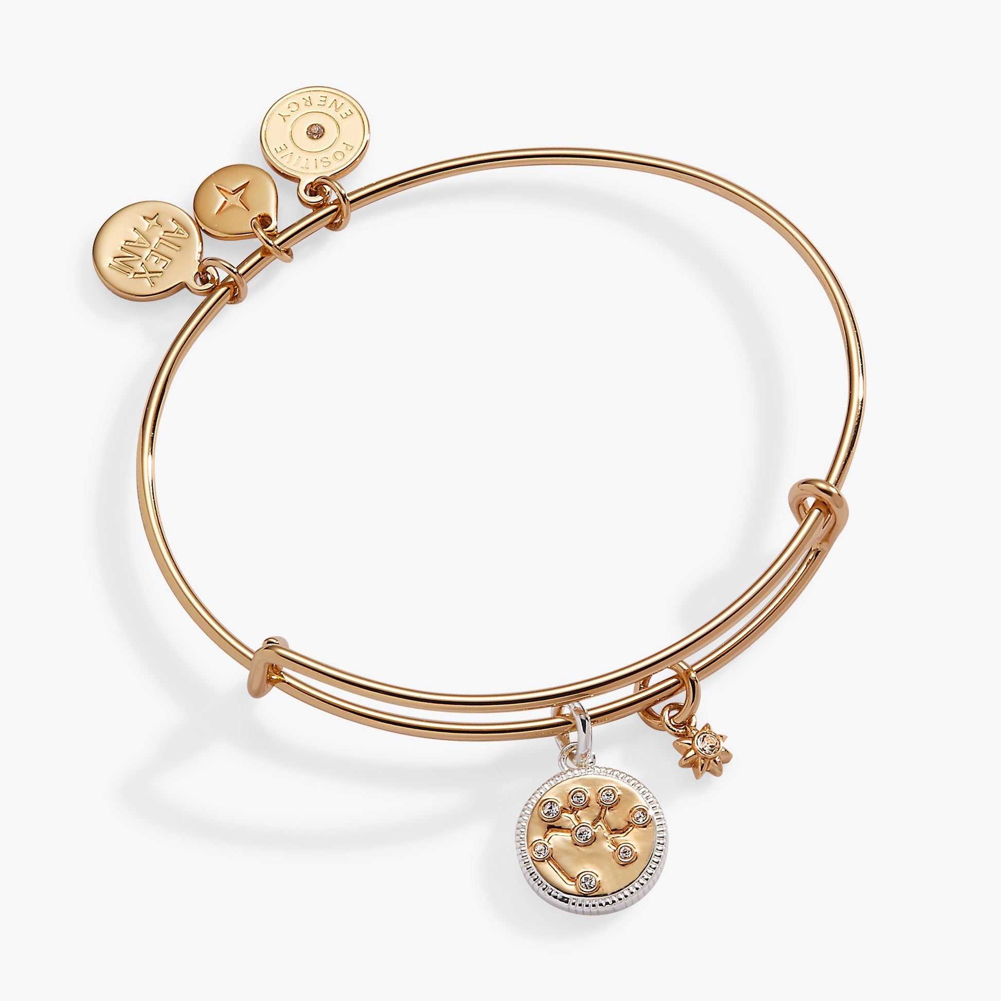 Sagittarius Zodiac Charm Bangle Two Tone