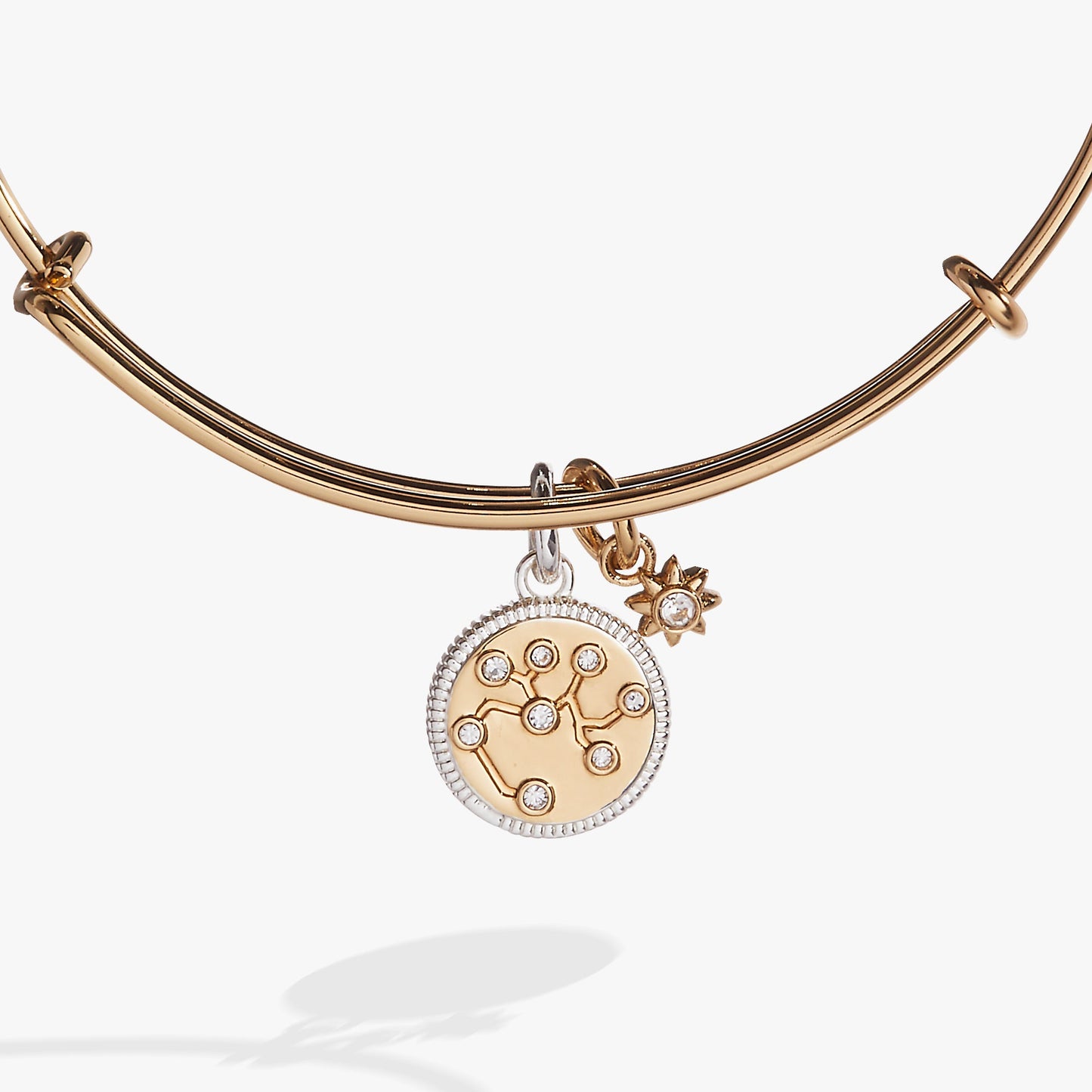 Sagittarius Zodiac Charm Bangle Two Tone