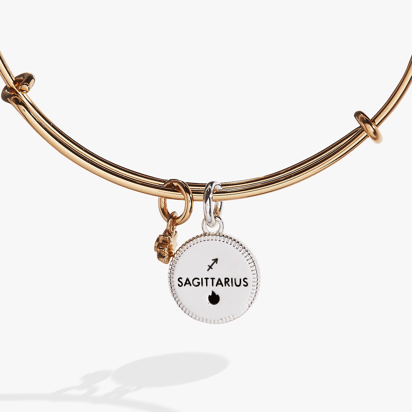 Sagittarius Zodiac Charm Bangle Two Tone