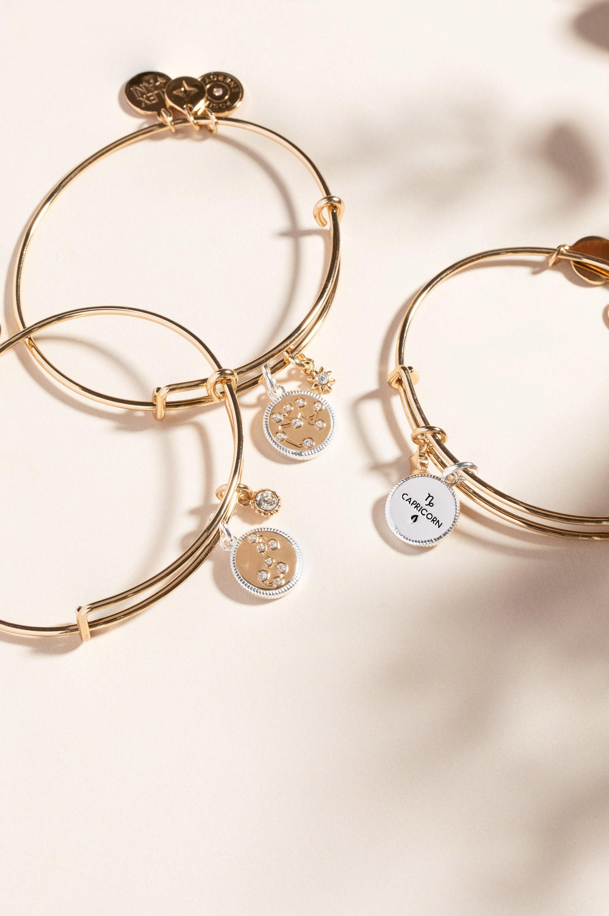 Sagittarius Zodiac Charm Bangle Two Tone