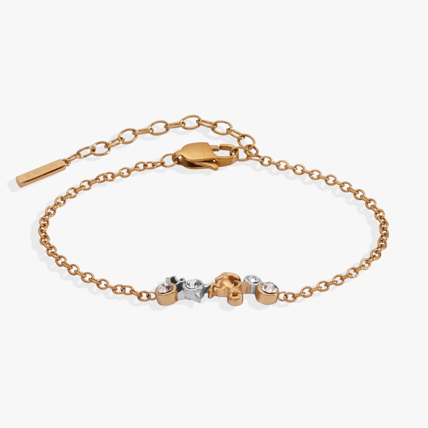 Capricorn Symbol Inline Bracelet Two Tone - Stainless Steel