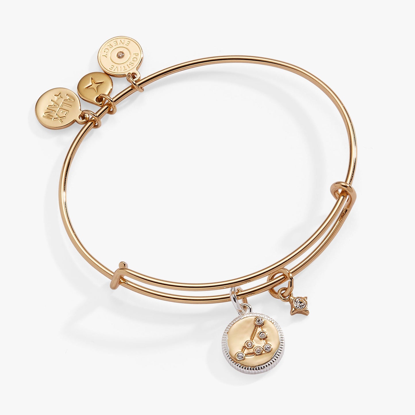 Capricorn Zodiac Charm Bangle Two Tone