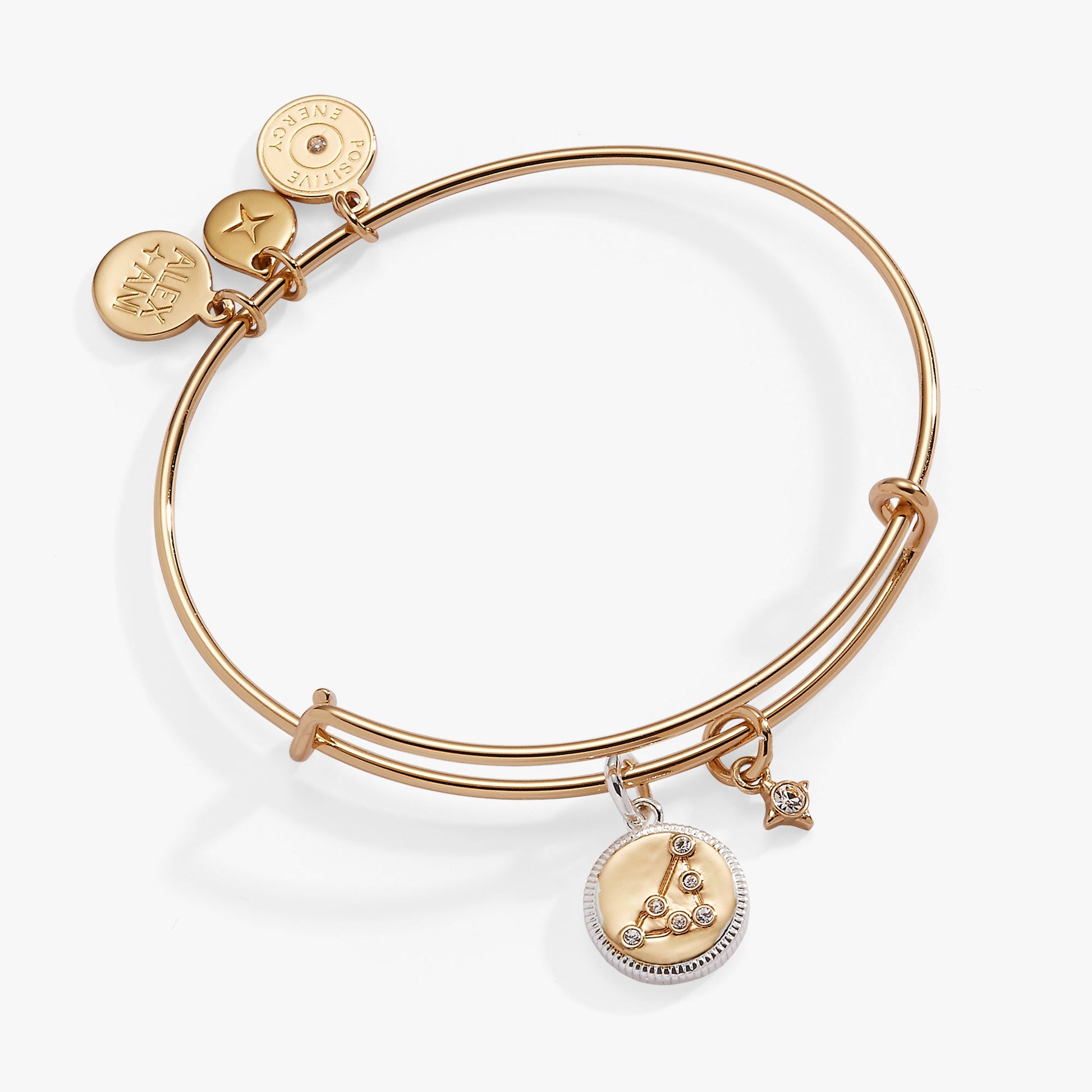 Capricorn Zodiac Charm Bangle Two Tone