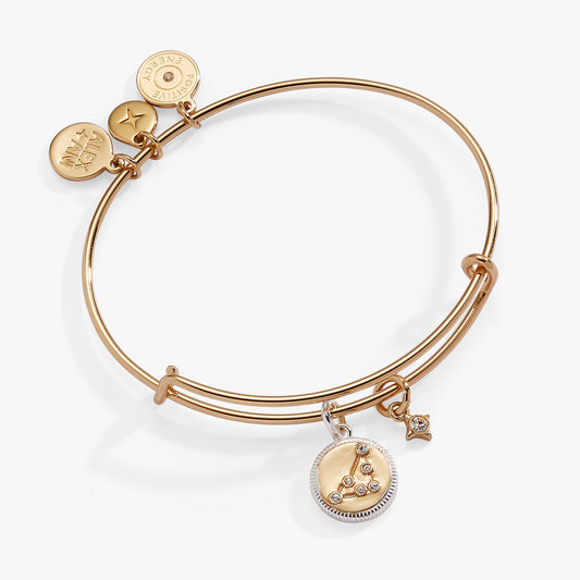 Capricorn Zodiac Charm Bangle Two Tone