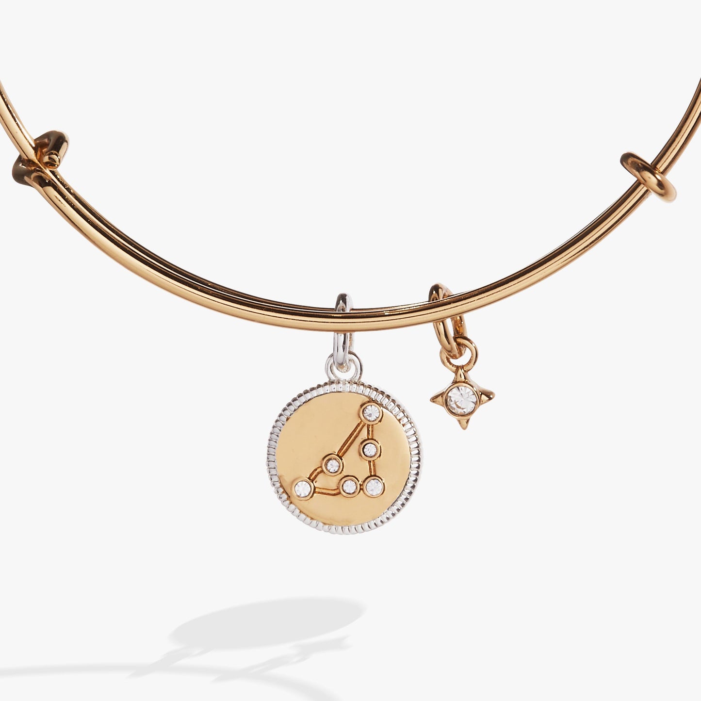Capricorn Zodiac Charm Bangle Two Tone