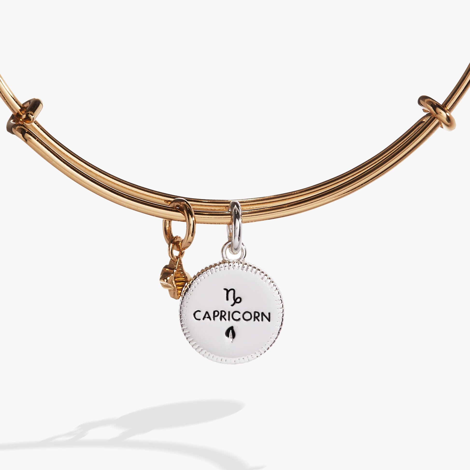 Capricorn Zodiac Charm Bangle Two Tone