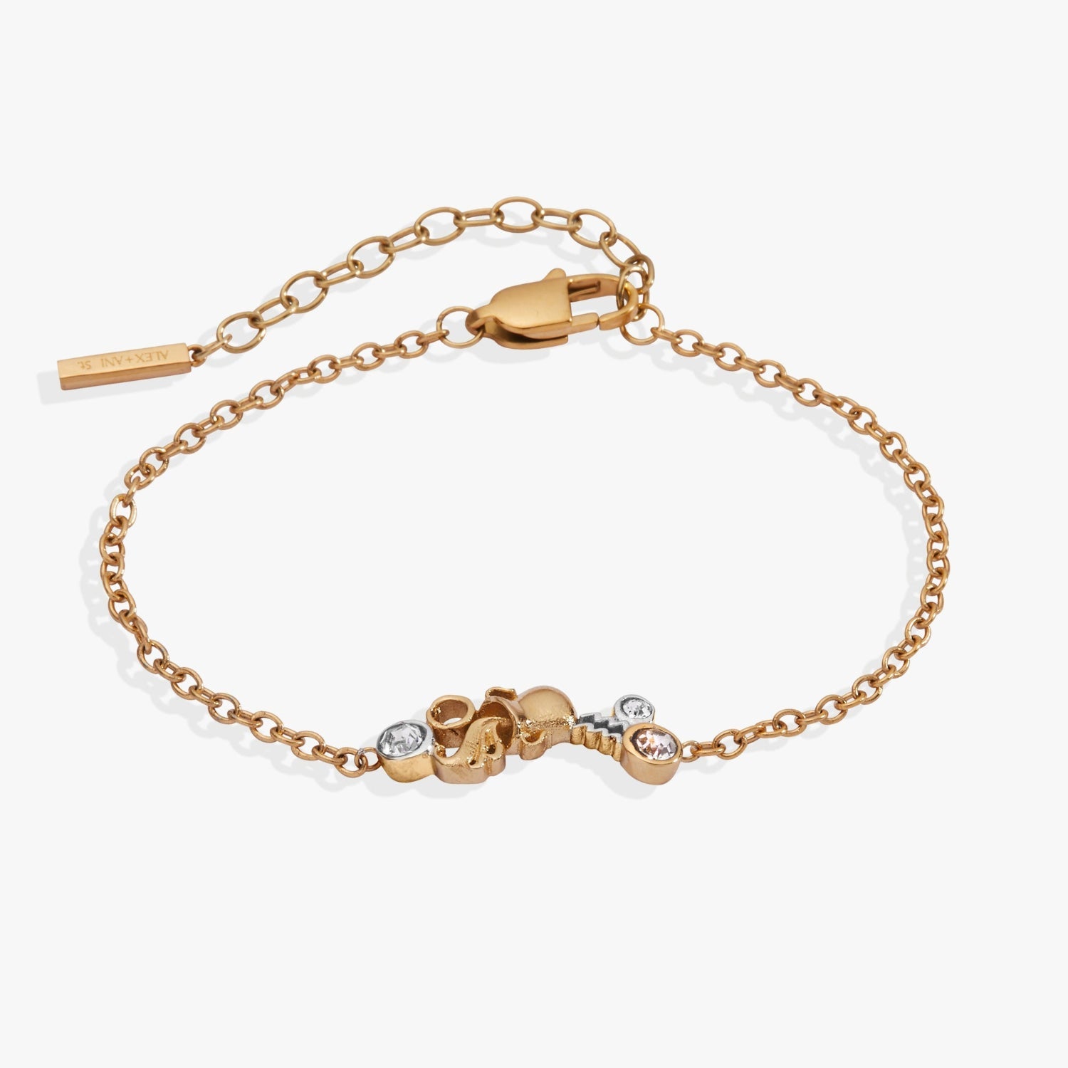 Aquarius Symbol Inline Bracelet Two Tone - Stainless Steel