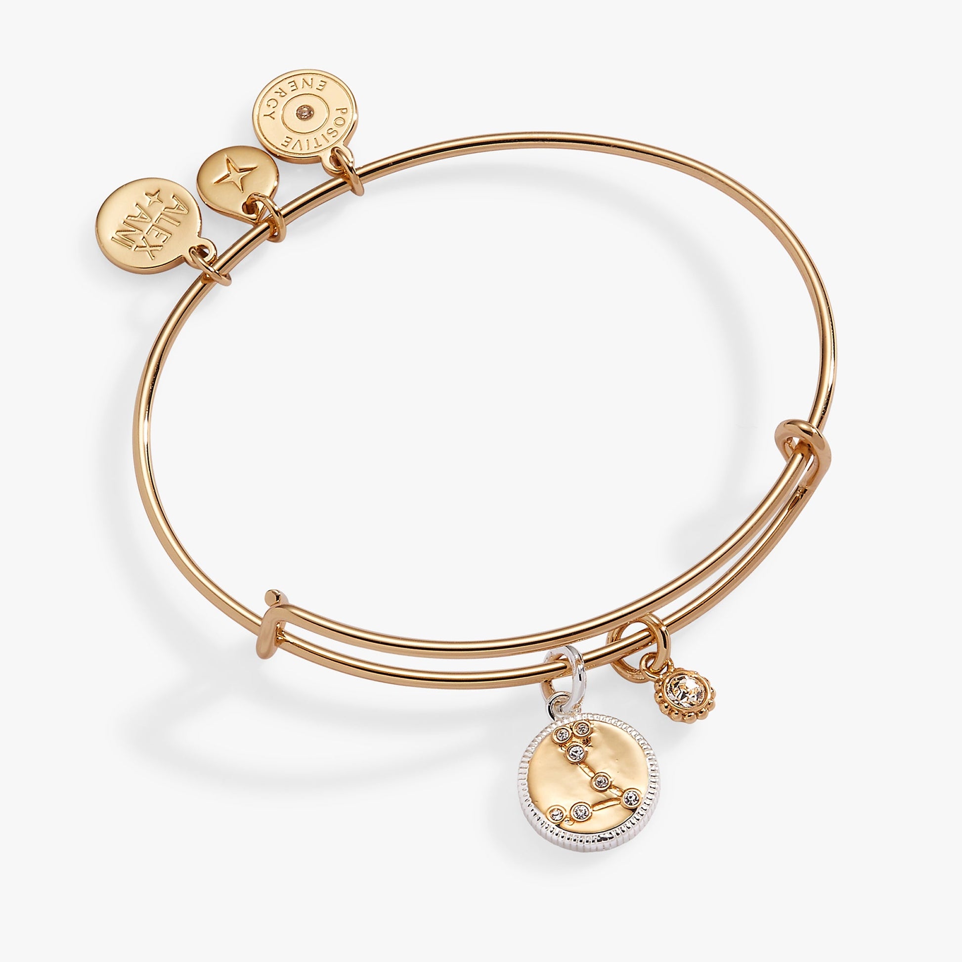 Pisces Zodiac Charm Bangle Two Tone