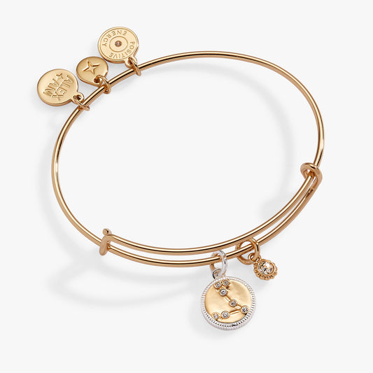 Pisces Zodiac Charm Bangle Two Tone