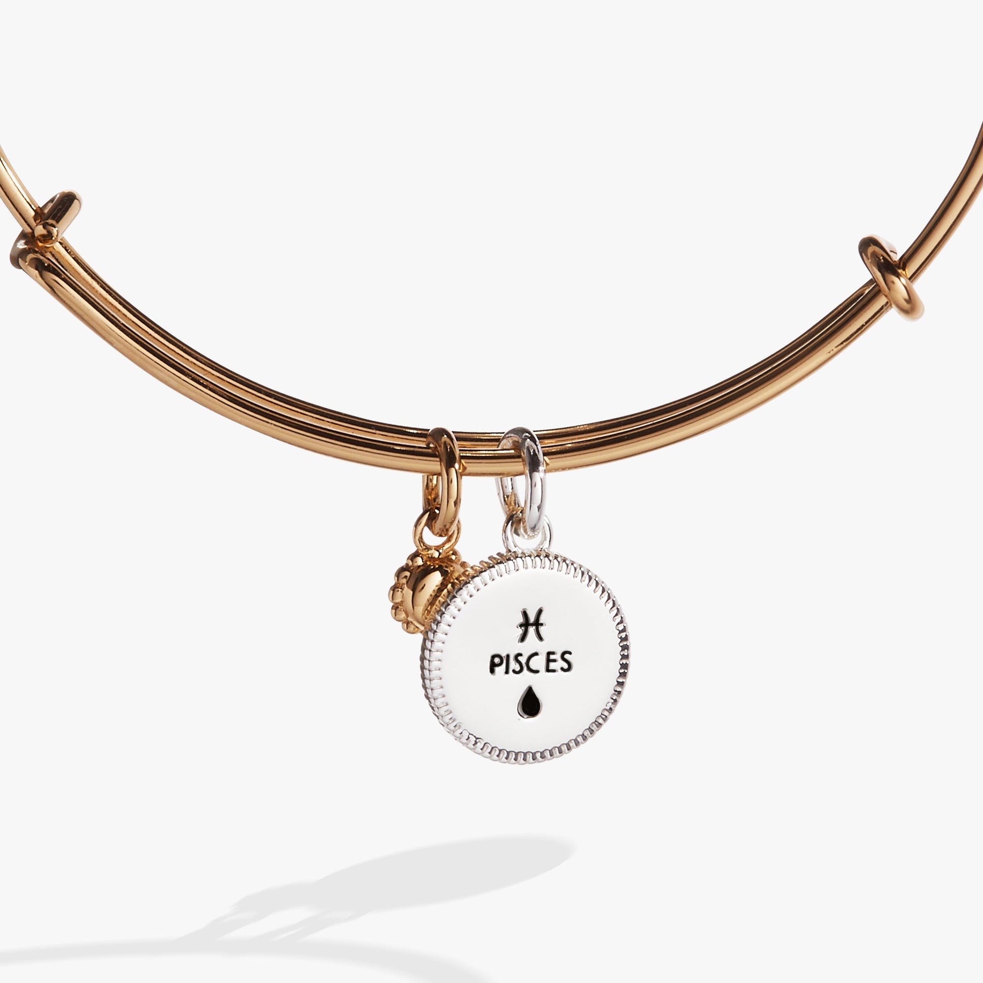 Pisces Zodiac Charm Bangle Two Tone