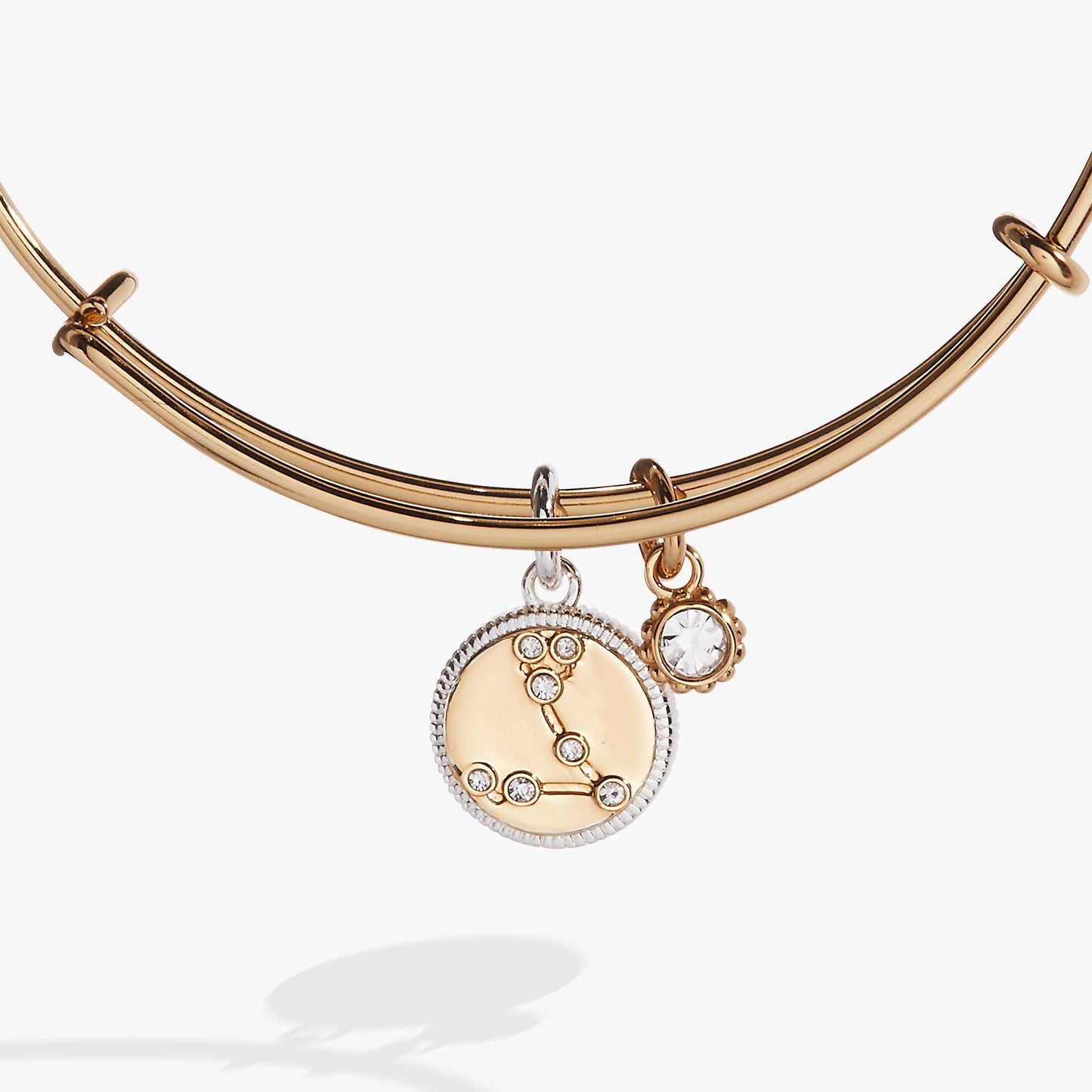 Pisces Zodiac Charm Bangle Two Tone
