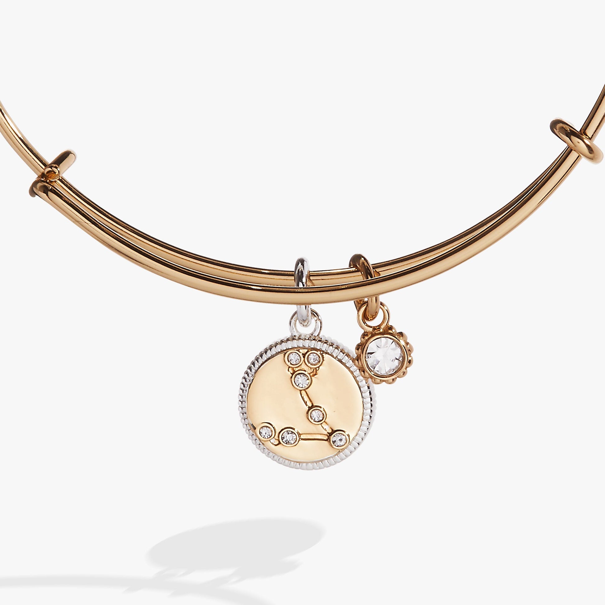 Pisces Zodiac Charm Bangle Two Tone