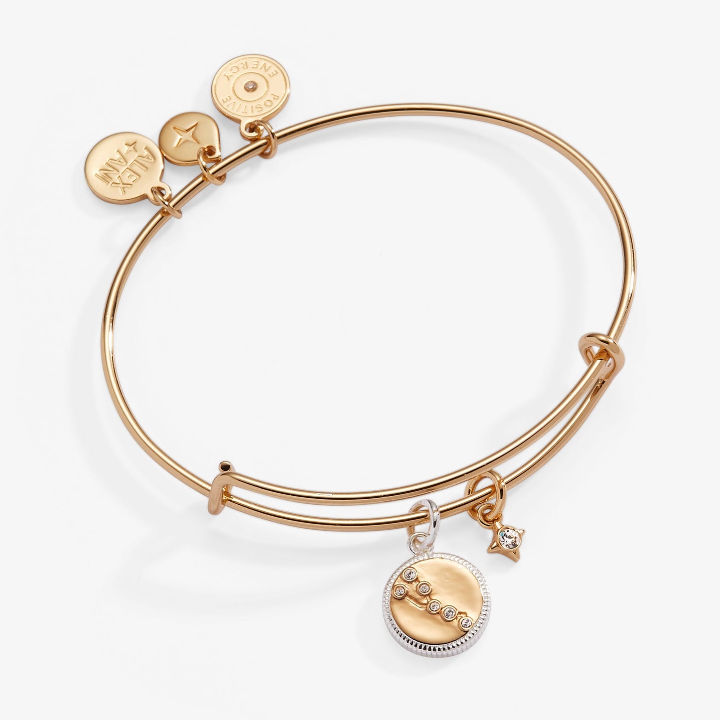 Taurus Zodiac Charm Bangle Two Tone