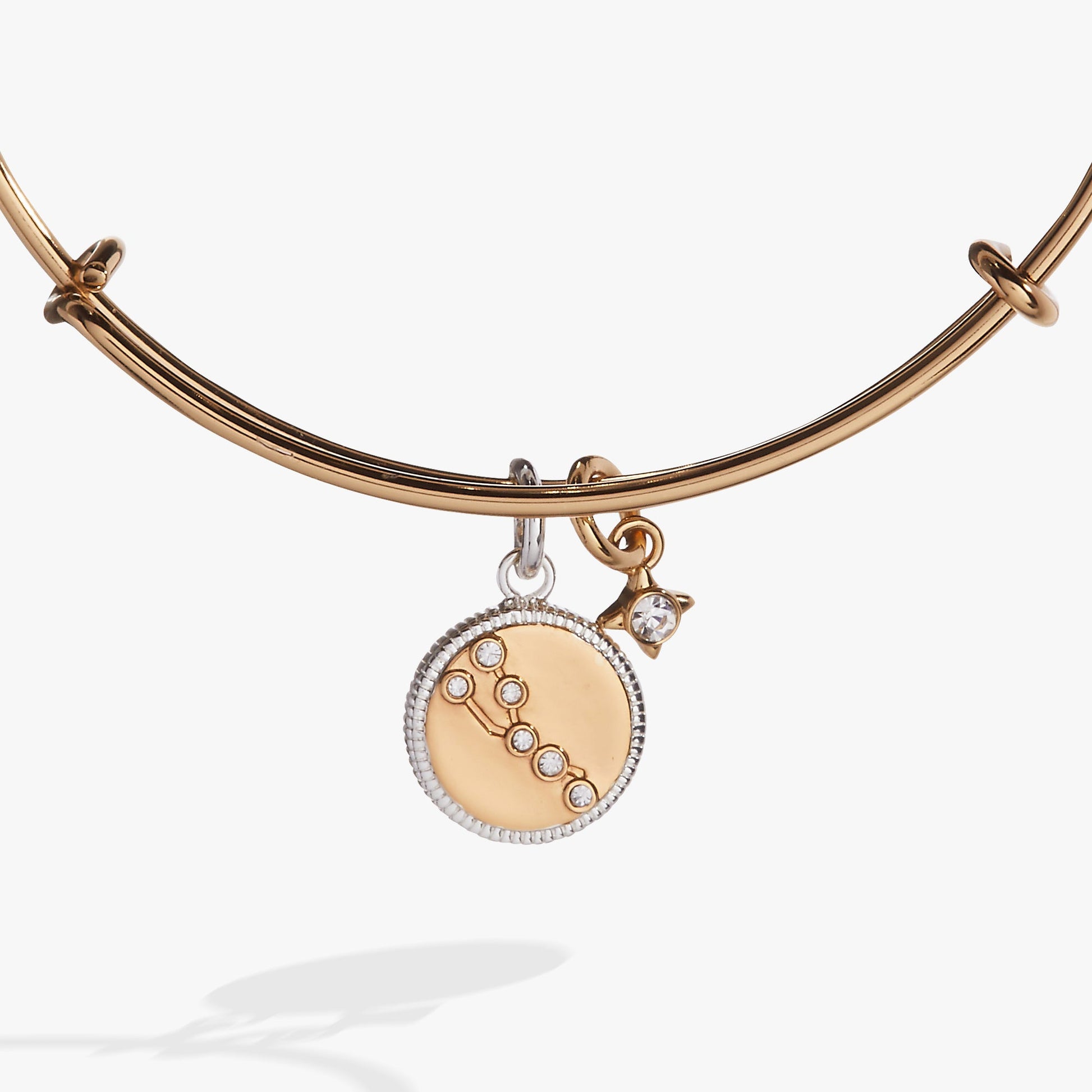Taurus Zodiac Charm Bangle Two Tone