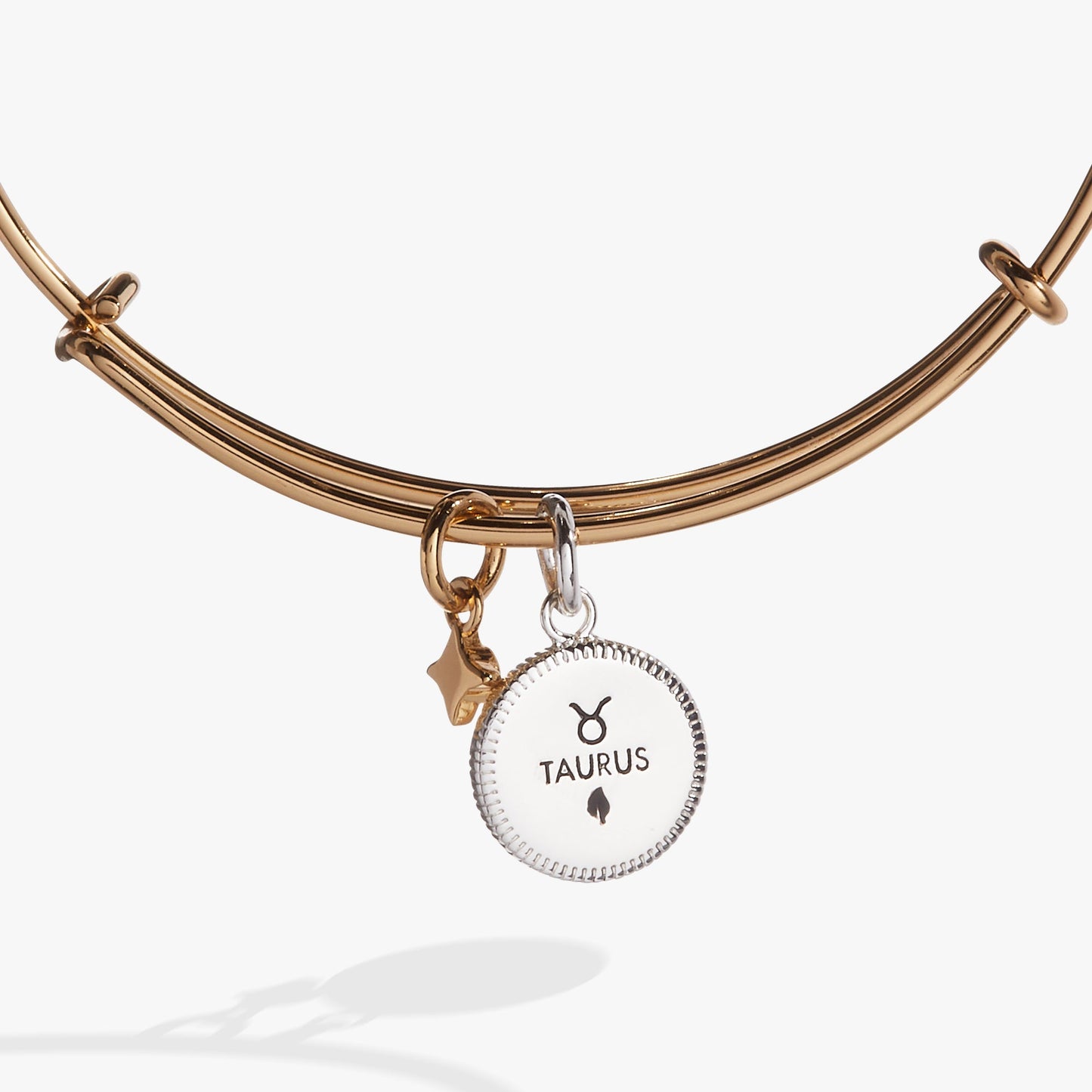 Taurus Zodiac Charm Bangle Two Tone