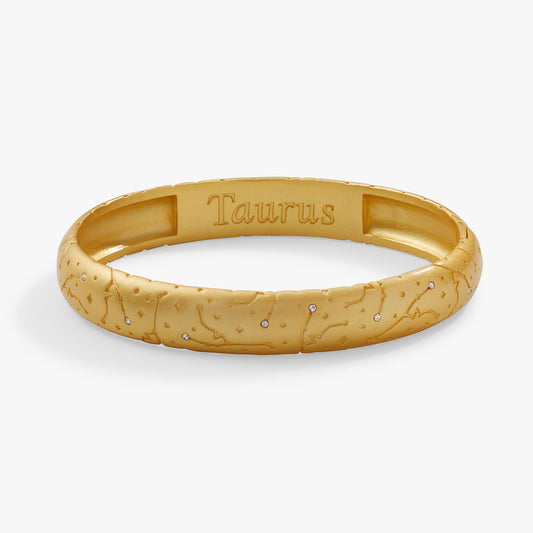 Taurus Zodiac Hinge Bangle Satin Silver
