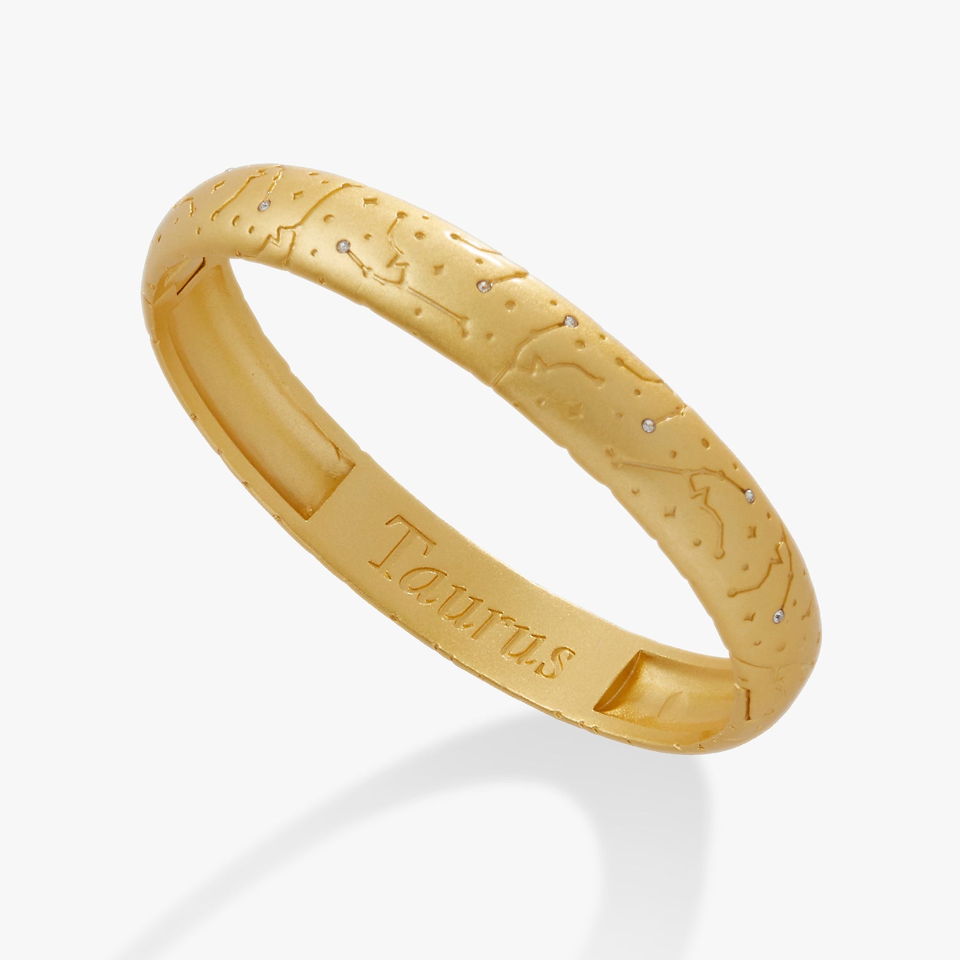 Taurus Zodiac Hinge Bangle Satin Silver
