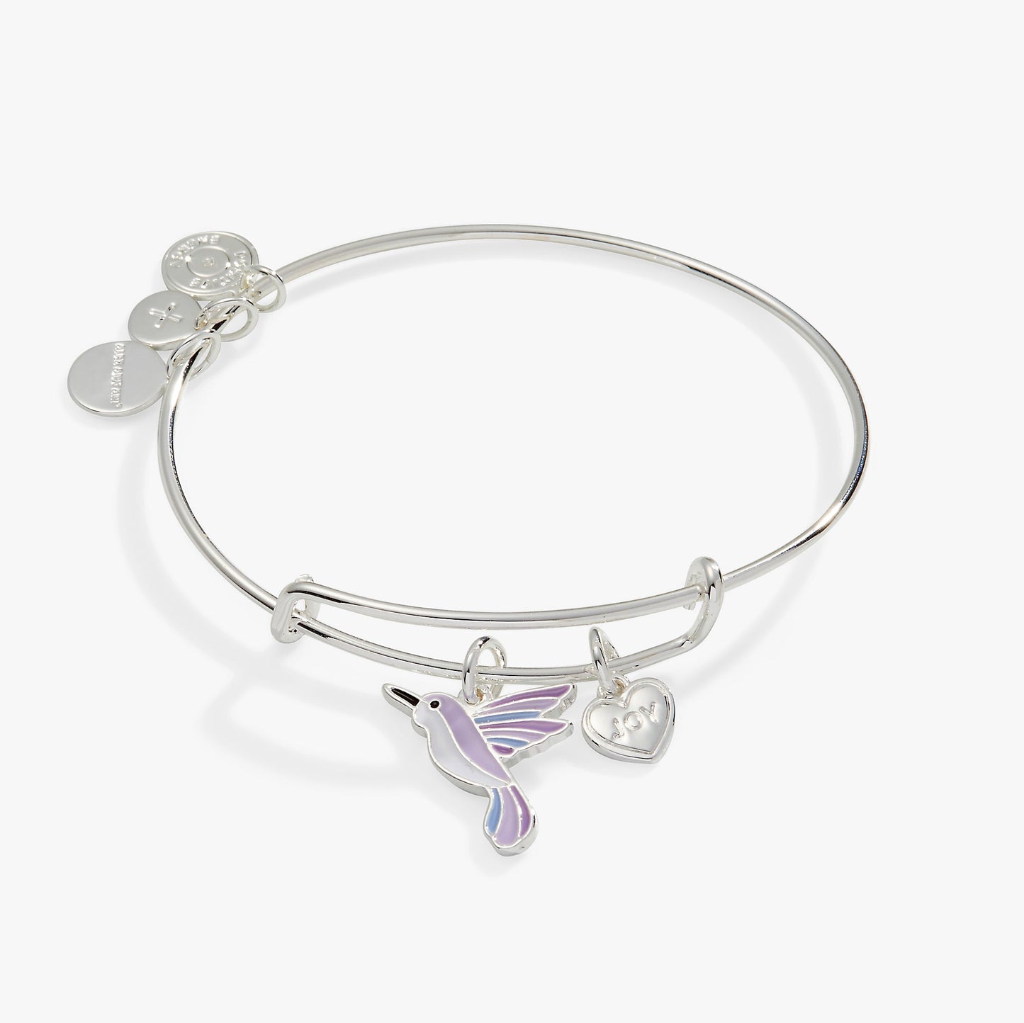 Joy' Hummingbird Duo Charm Bangle Bracelet Silver