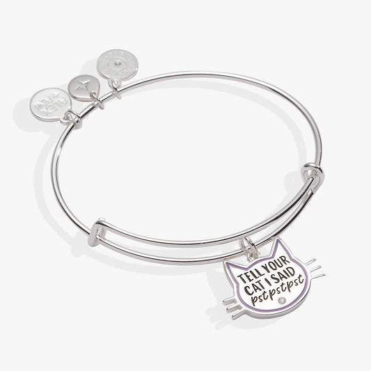 Tell Your Cat I Said Pst Pst Pst Bangle Silver