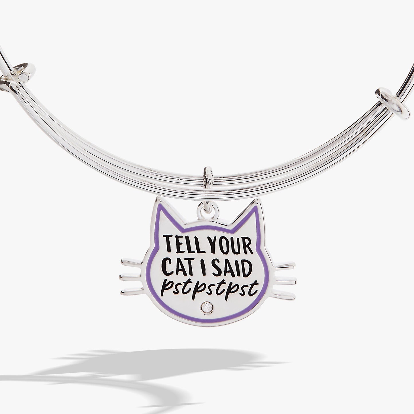 Tell Your Cat I Said Pst Pst Pst Bangle Silver