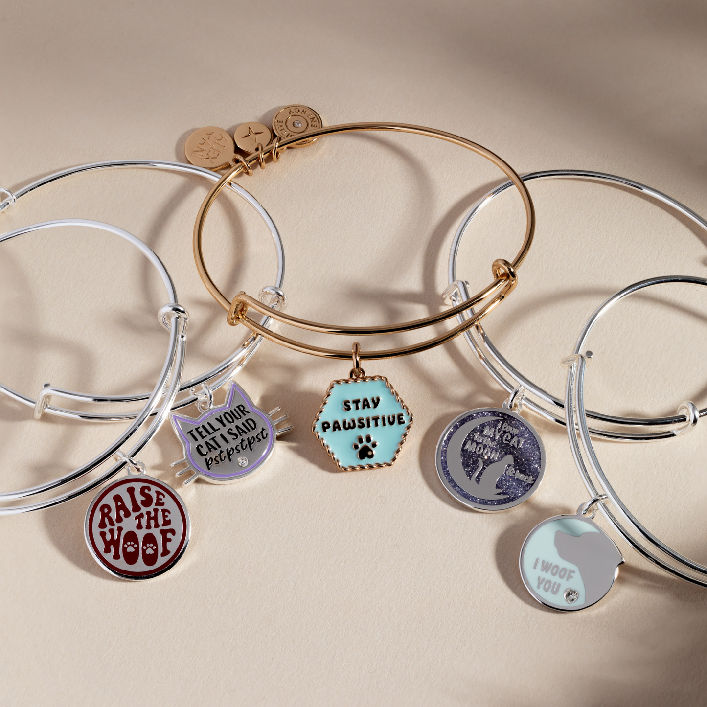Tell Your Cat I Said Pst Pst Pst Bangle Silver