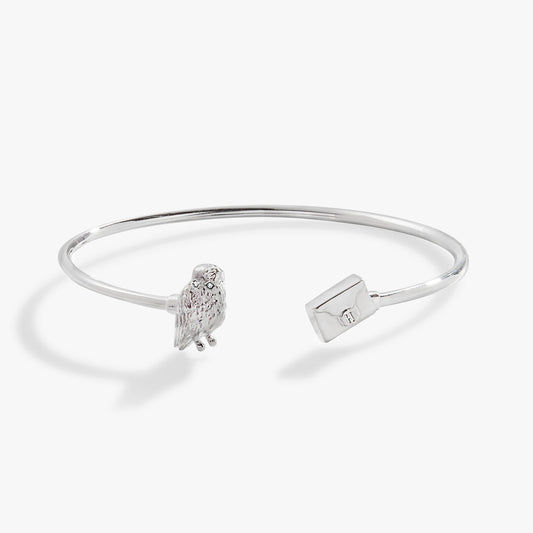 Harry Potter™ Hedwig + Letter Flex Cuff Silver