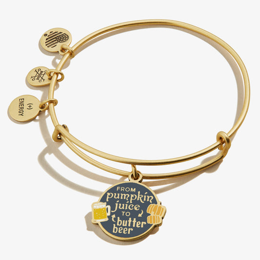 Harry Potter™ 'From Pumpkin Juice to Butter Beer' Charm Bangle Bracelet Rafaelian Gold
