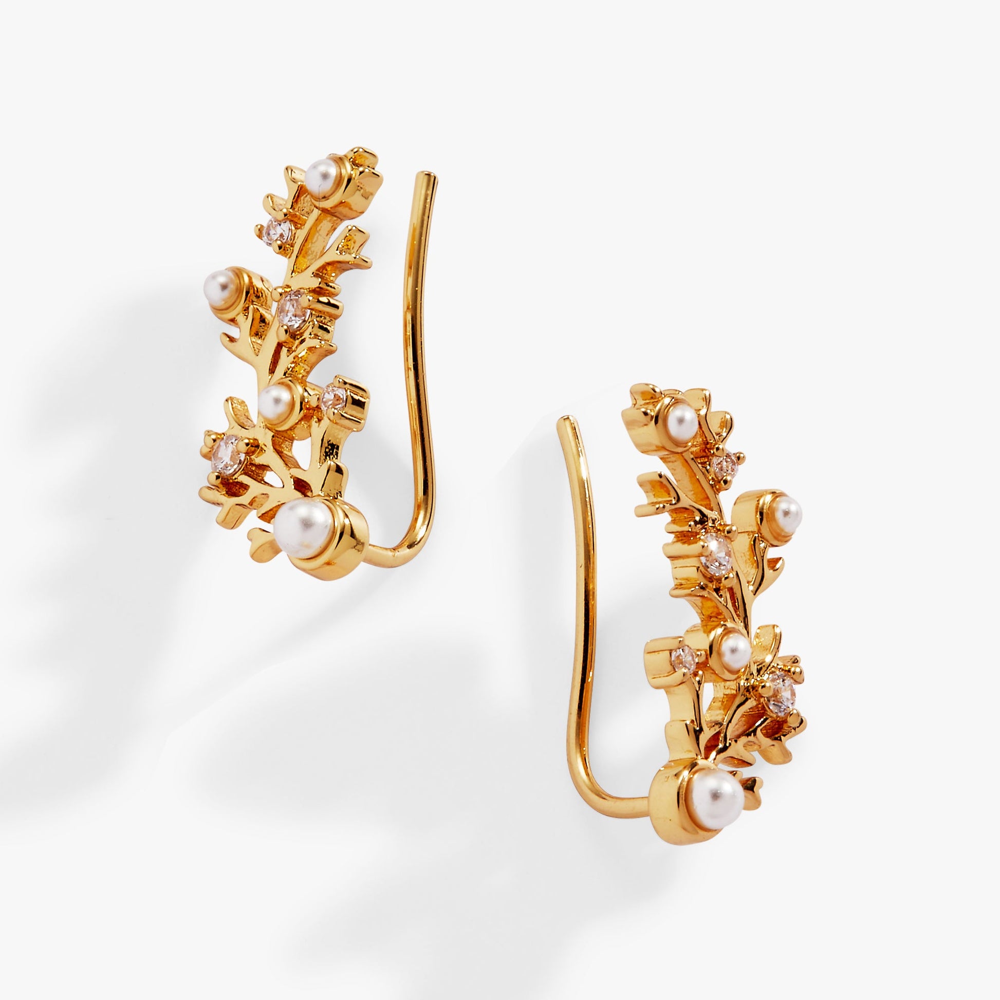 Coral Ear Crawler Gold