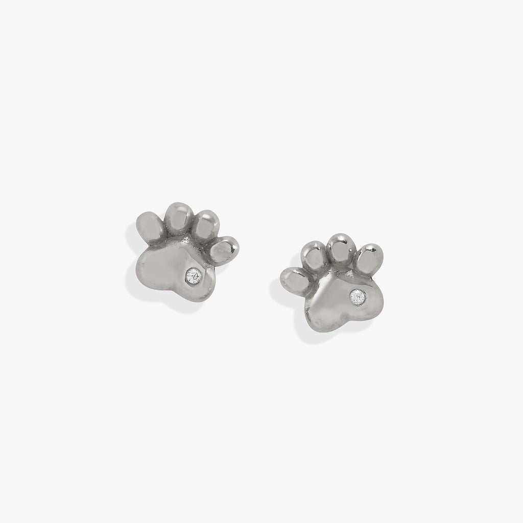 Paw Print Mini Stud Earrings Stainless Steel Silver