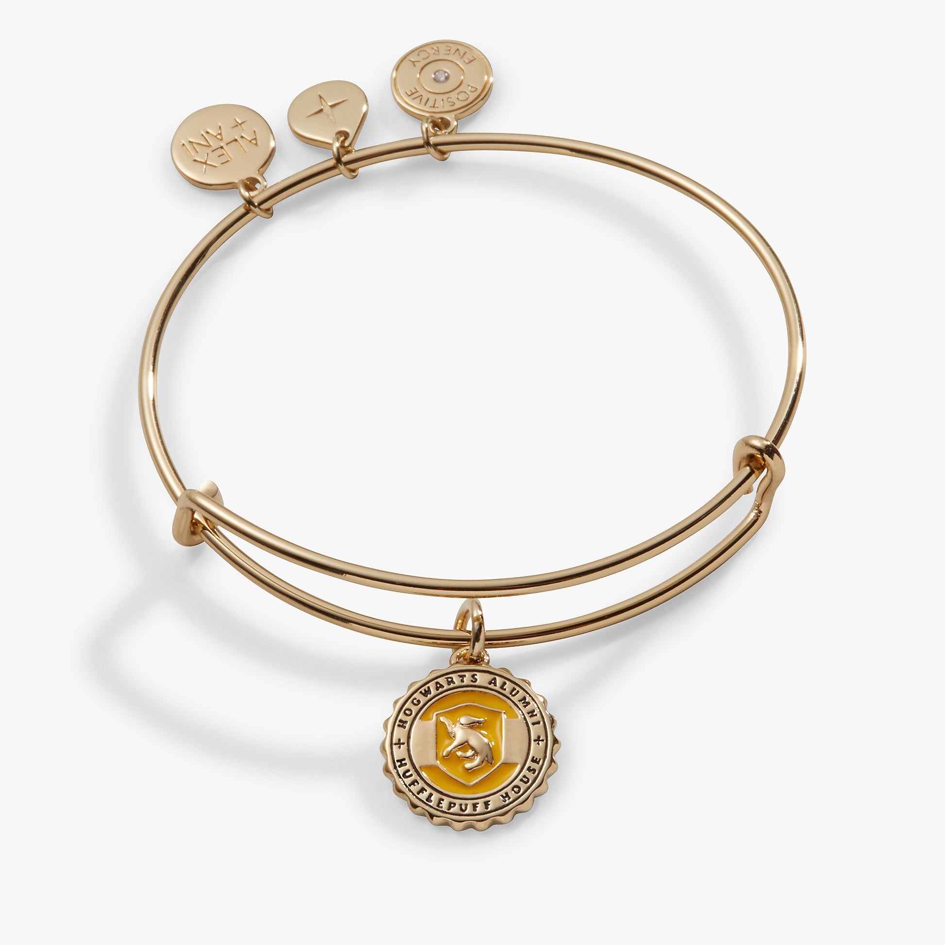 Harry Potter™ Hufflepuff House Charm Bangle Gold