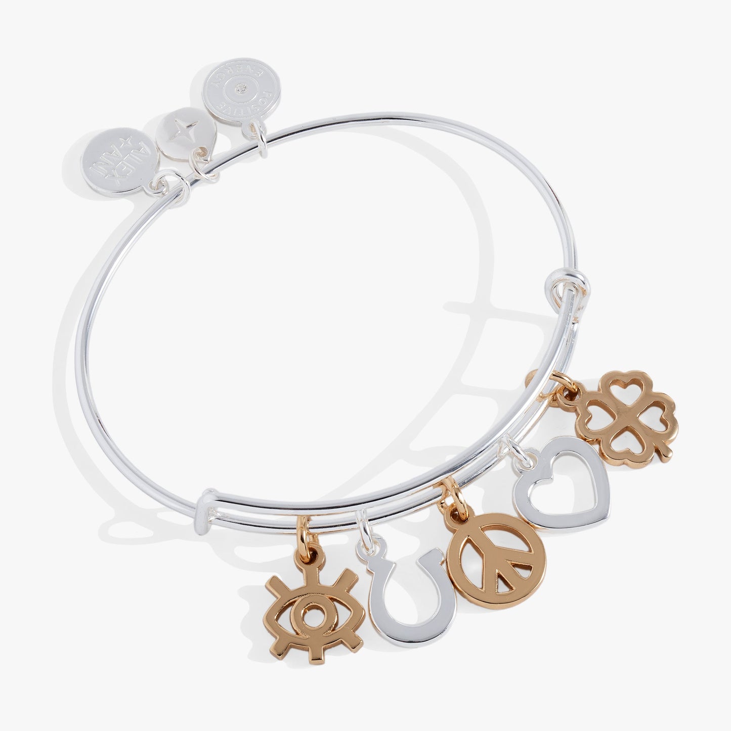 Mixed Symbol Multi-Charm Bangle Two Tone
