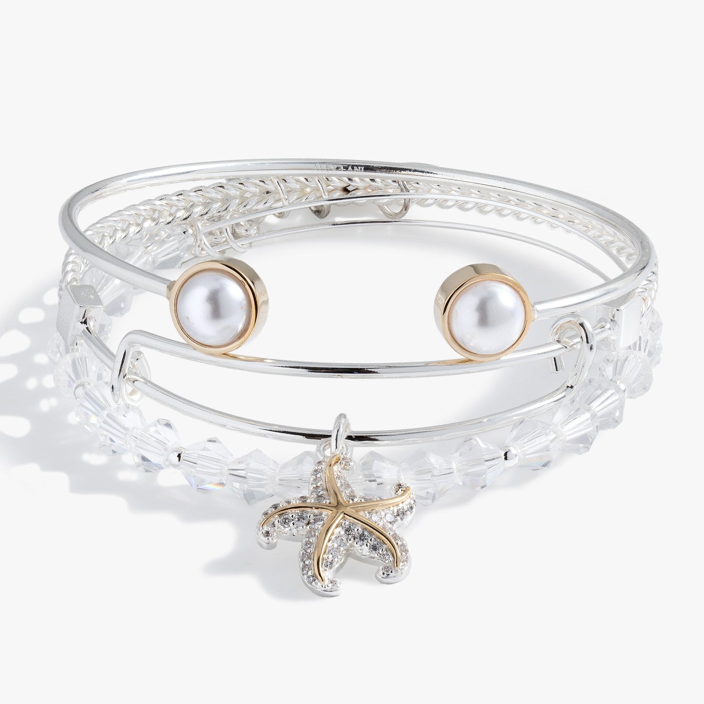 Starfish Set of 3 Two Tone